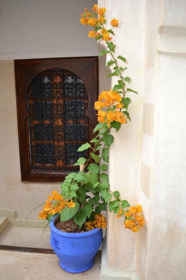 Riad Riva Marrakesh Luaran gambar